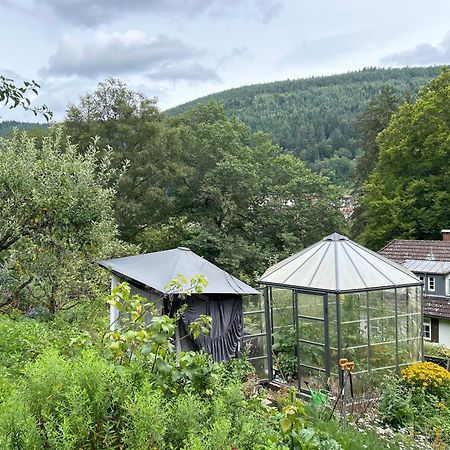 Wohn-Eitel Romantik Bad Wildbad Exterior photo
