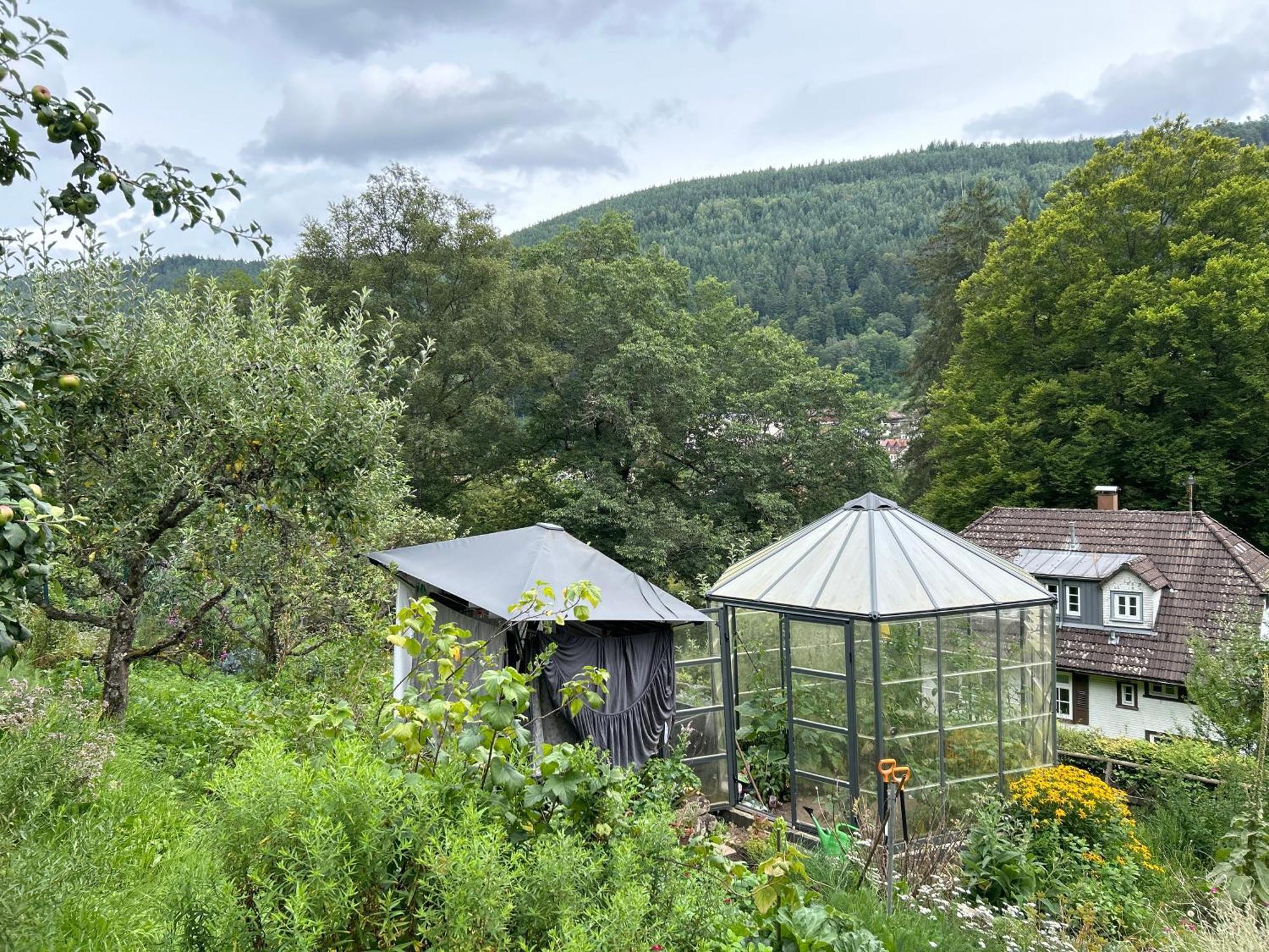 Wohn-Eitel Romantik Bad Wildbad Exterior photo